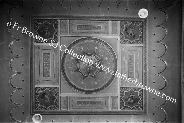 RATHFARNHAM CASTLE INTERIOR CEILING OF VISTOR'S ROOM